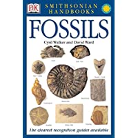Handbooks: Fossils: The Clearest Recognition Guide Available (DK Smithsonian Handbook)